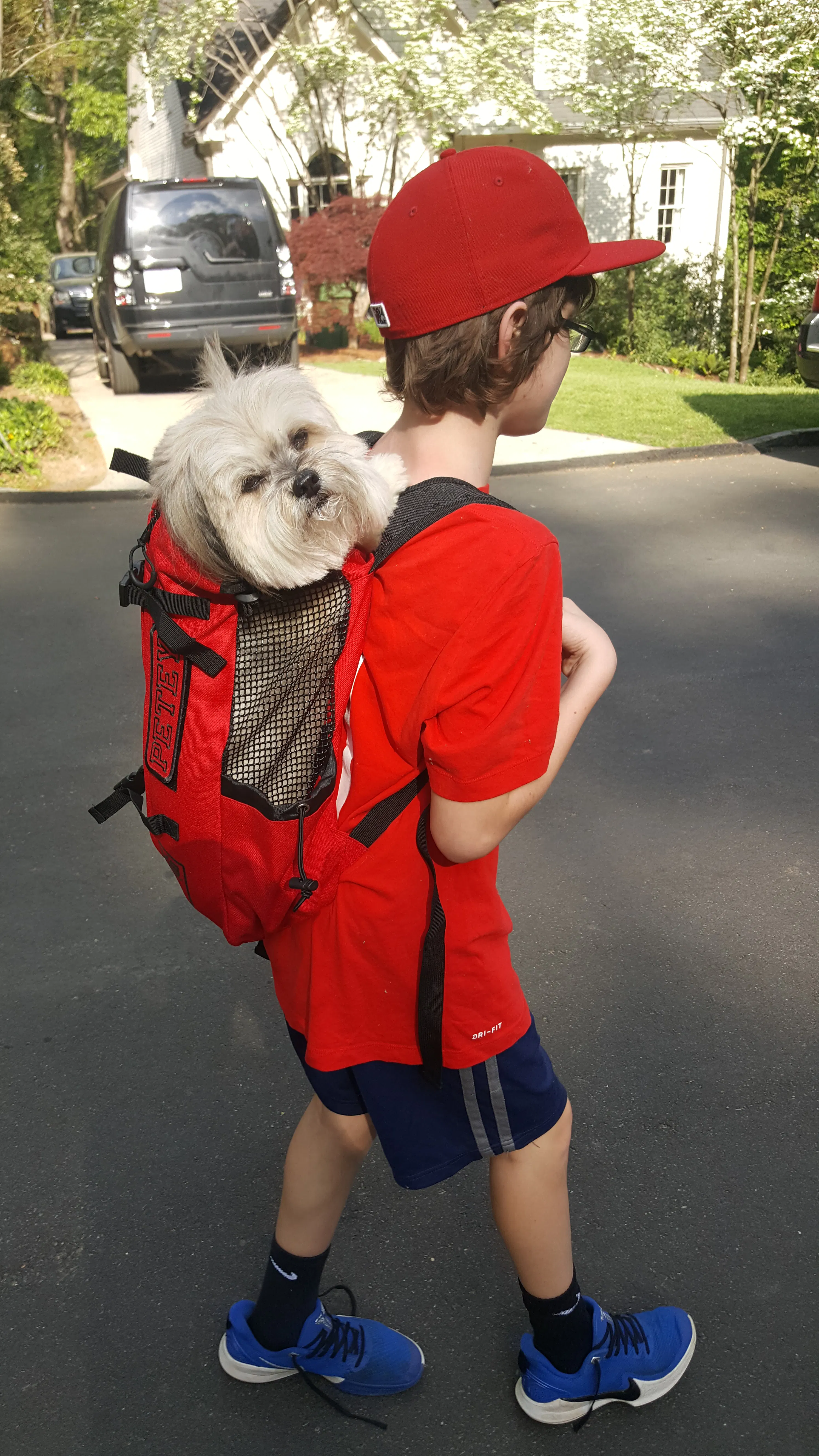 K9 Sport Sack AIR Dog Carrier K9 Sport Sack