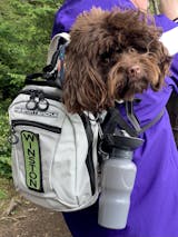 Classic Dog Travel Bottle