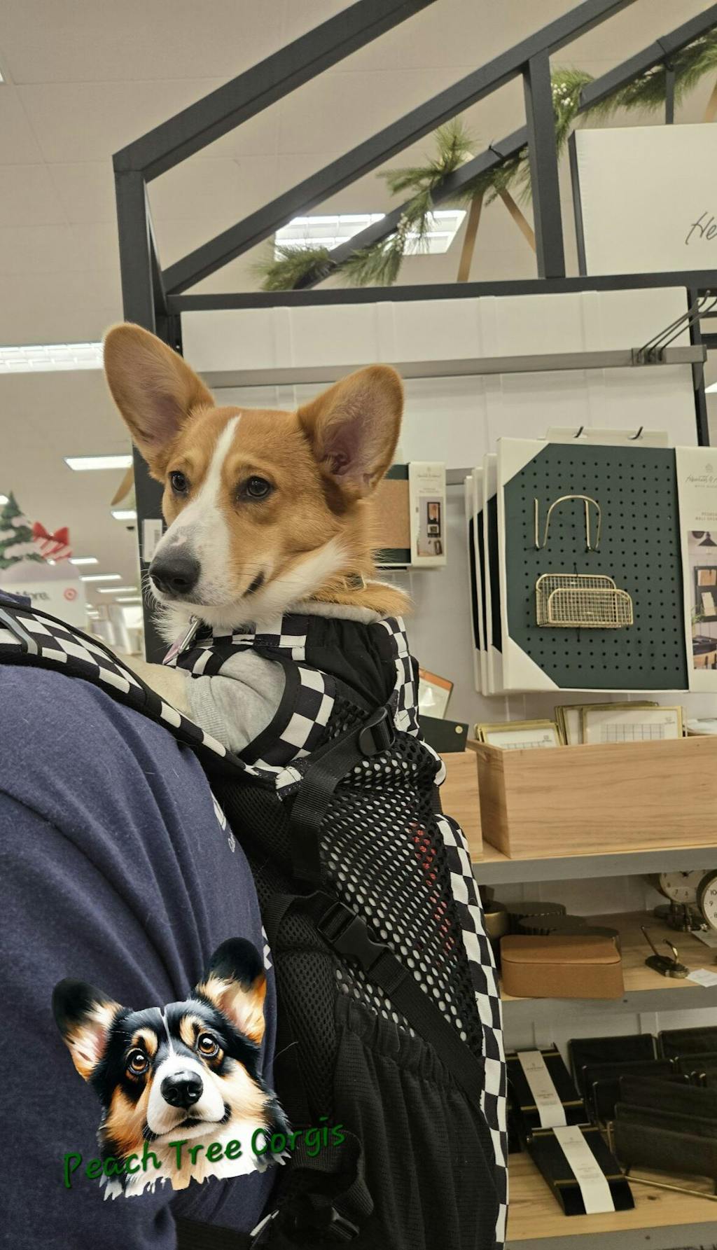 Plus 2 | Checkered Special Edition