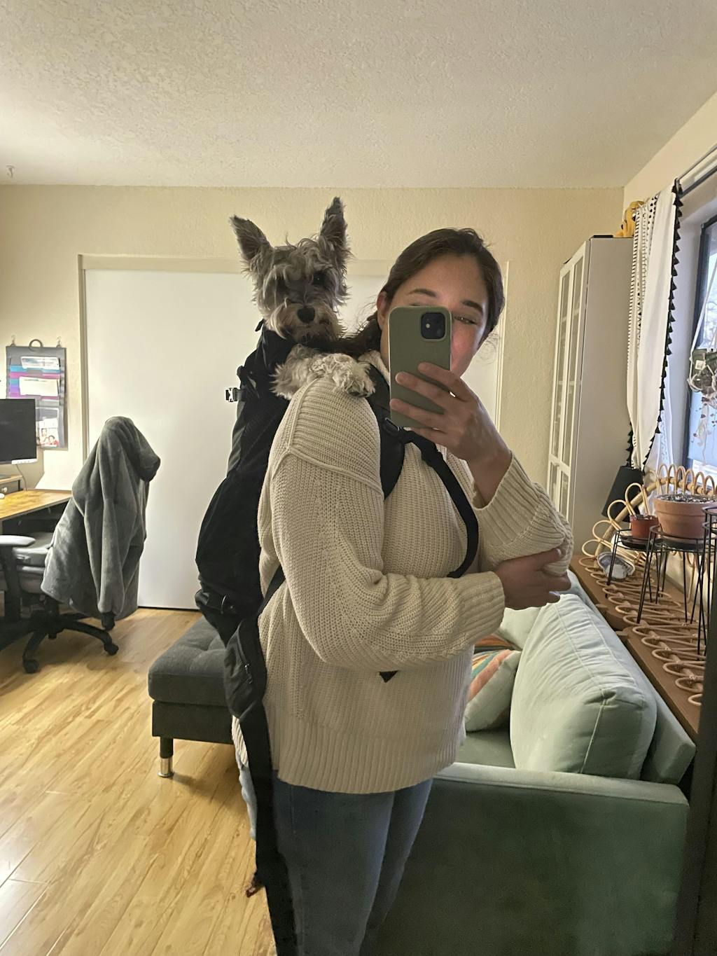 Knavigate | Advanced Dog Carrier with Internal Frame & Hip Belt