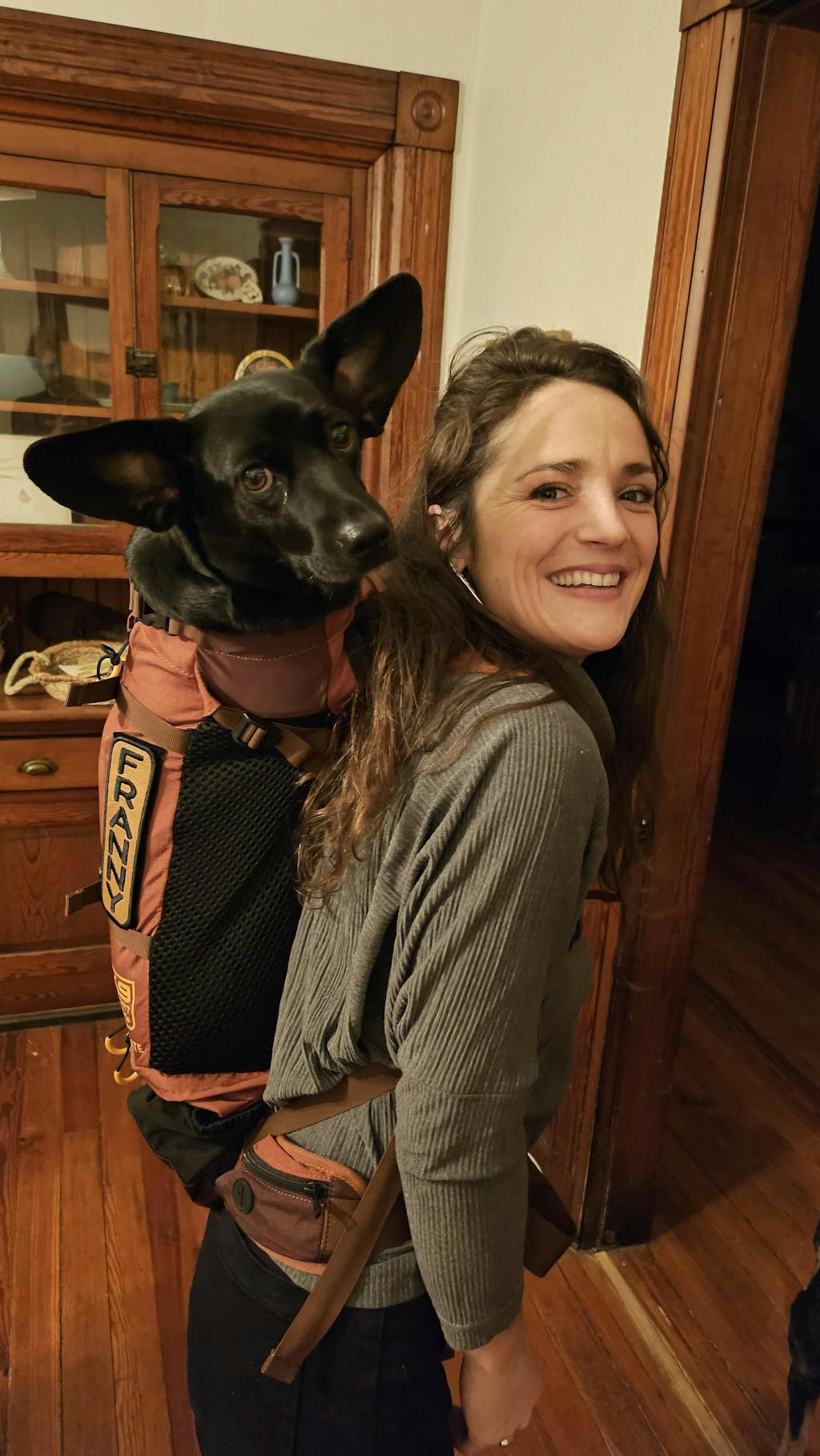 Knavigate | Advanced Dog Carrier with Internal Frame & Hip Belt