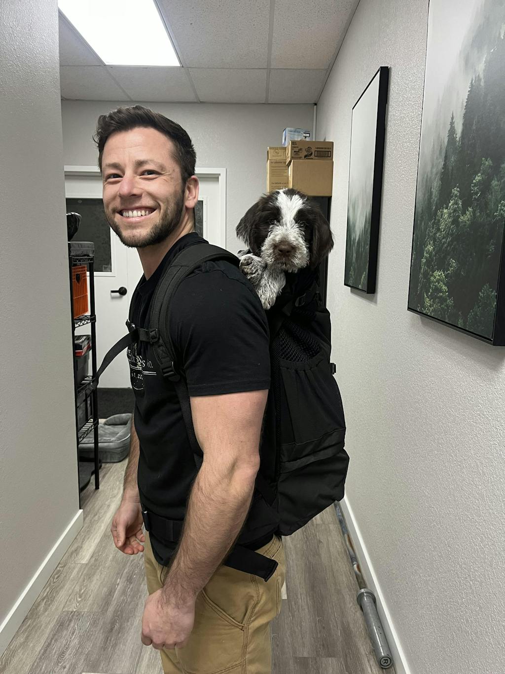 Knavigate | Advanced Dog Carrier with Internal Frame & Hip Belt