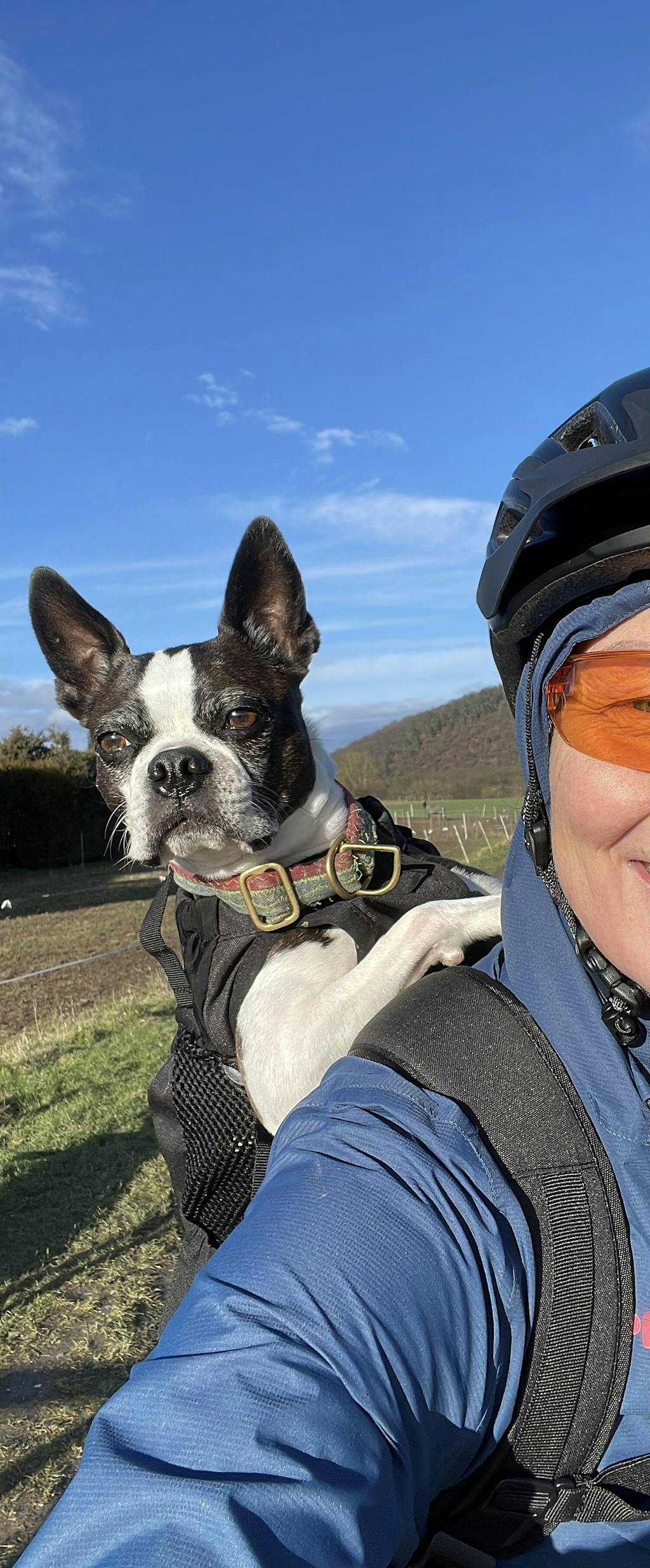 Knavigate | Advanced Dog Carrier with Internal Frame & Hip Belt