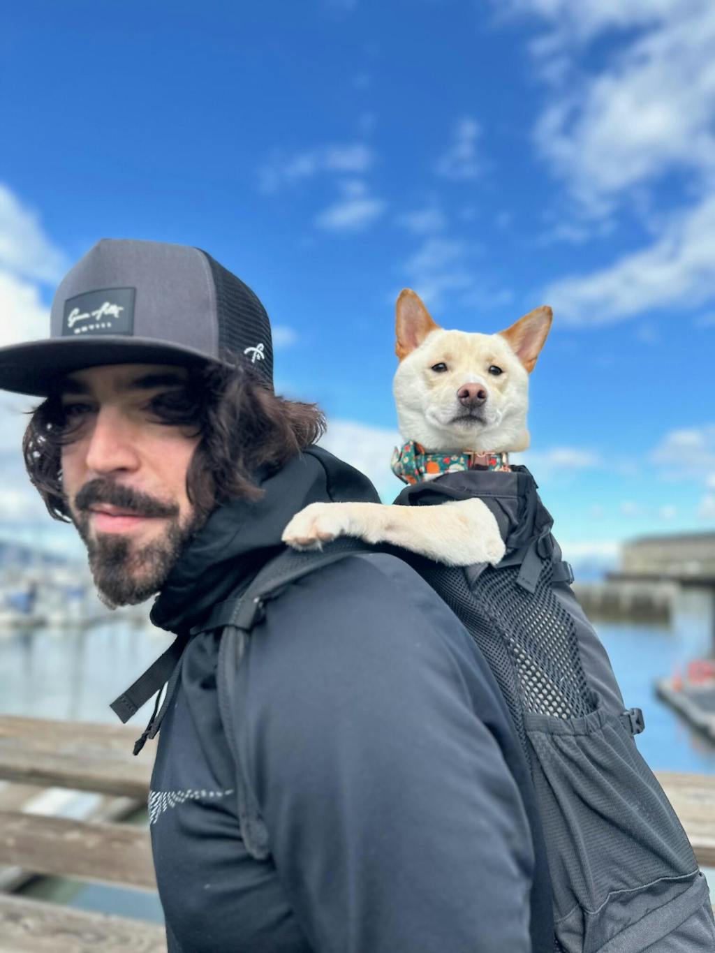 Knavigate | Advanced Dog Carrier with Internal Frame & Hip Belt