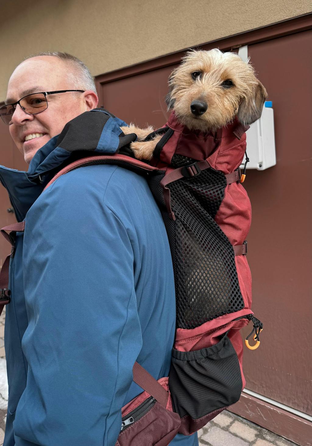 Knavigate | Advanced Dog Carrier with Internal Frame & Hip Belt