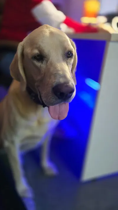 Manojnatha S.'s dog