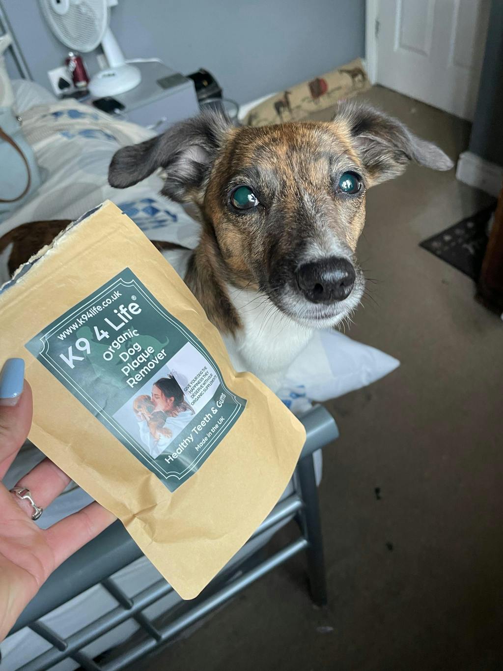 Plaque Off & Tartar Remover for Dogs & Cats