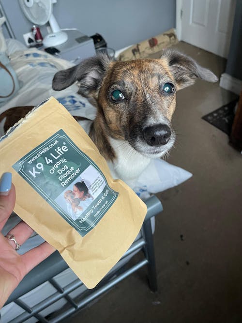 Plaque Off & Tartar Remover for Dogs 150g