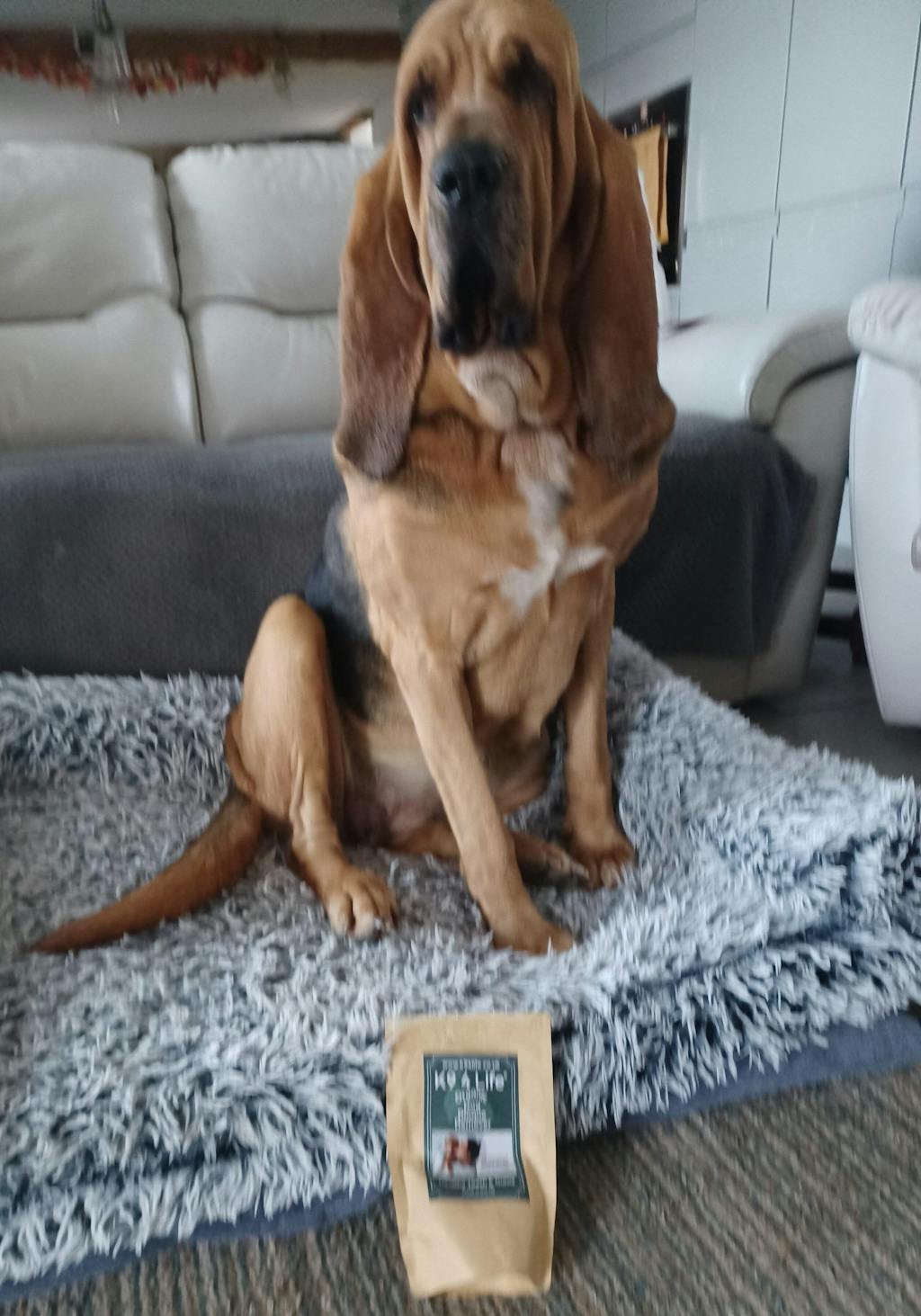 Dog Plaque & Tartar Remover Dental Care - Organic