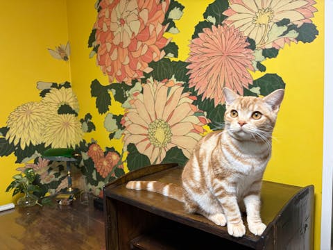 【サンプル】はがせるミューラル壁紙 シールタイプ 葛飾北斎 富嶽三十六景 神奈川沖浪裏（イエロー背景） TSO-M00007