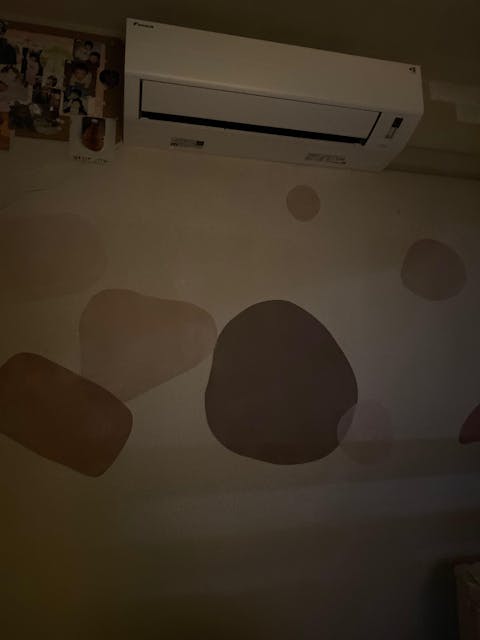 Hattan Abstract ハッタン アブストラクト アソートセット ピンクベージュセット HAB-01