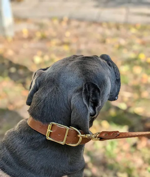 Caramel Buttercream Collar