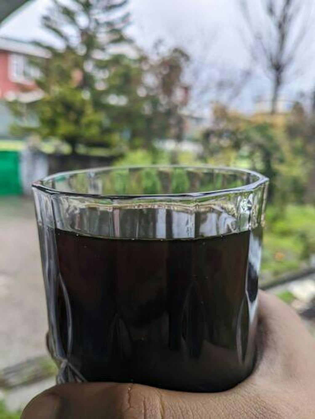 Ratnagiri Estate - Naturals, Anaerobic Fermentation with Yeast - Medium Roast