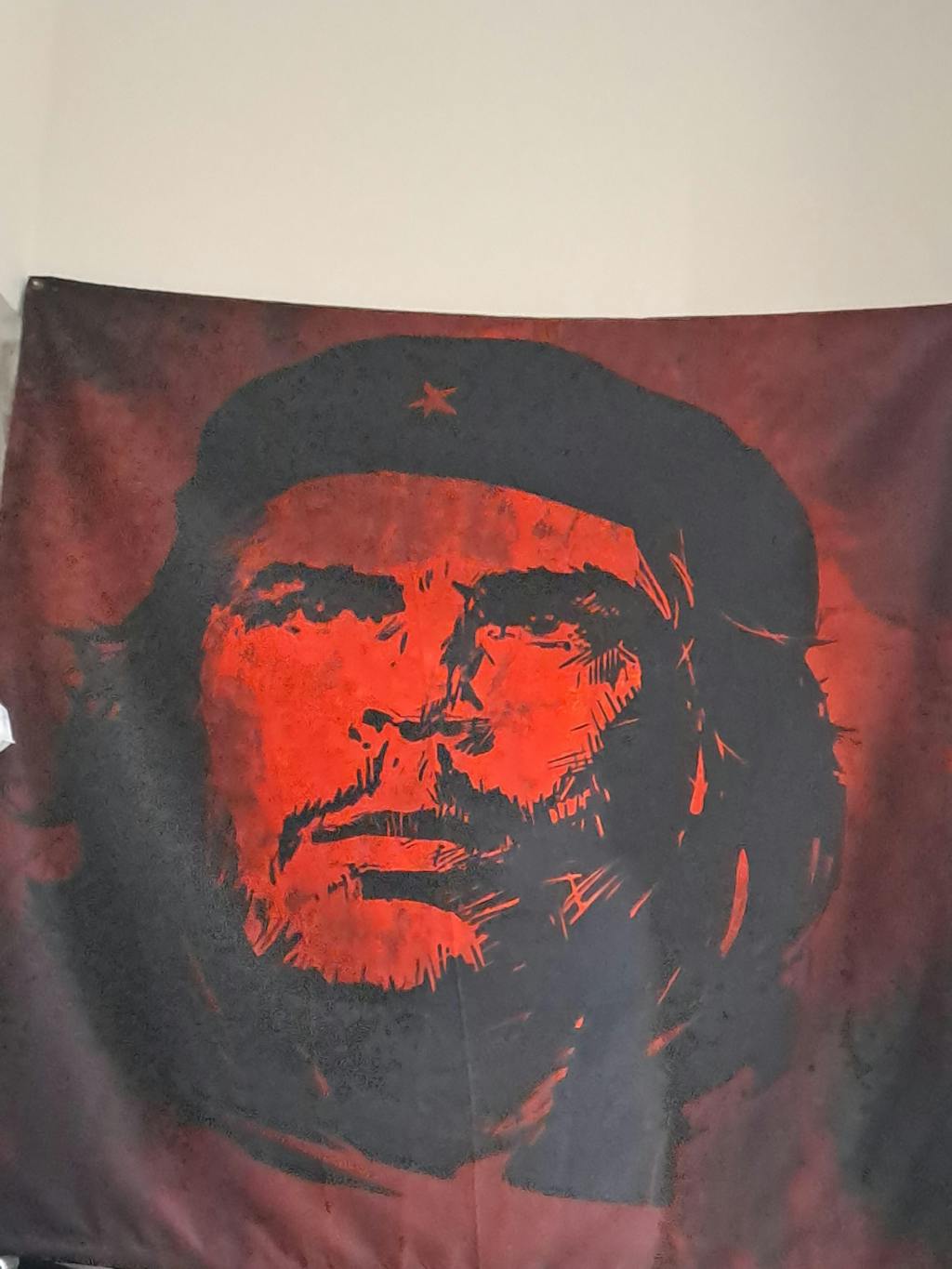 che-guevara-tapestry-kafka