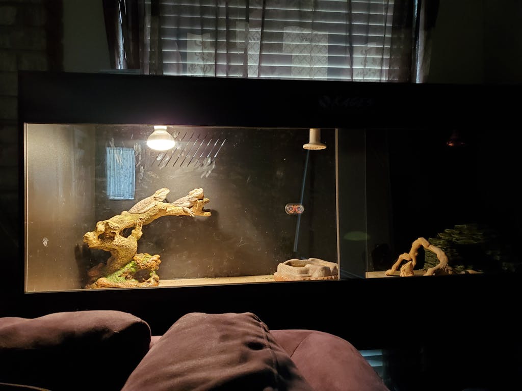 5'x2'x2' Custom PVC Reptile Enclosure Reptile Kages