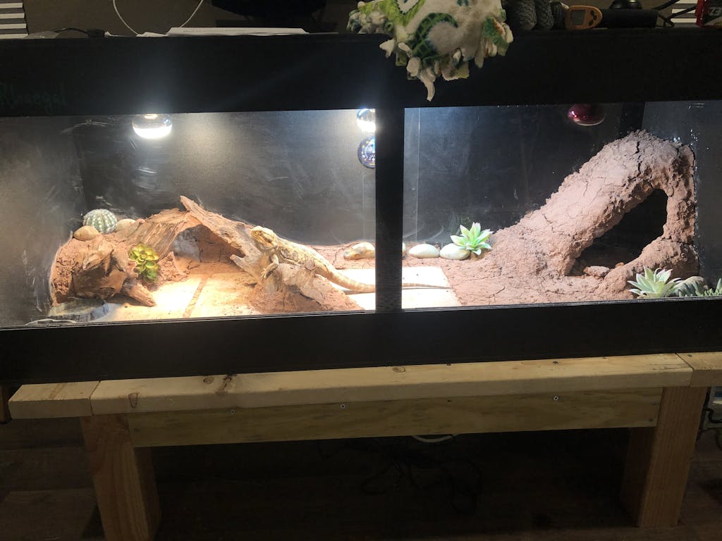 5'x2'x2' Custom PVC Reptile Enclosure Reptile Kages