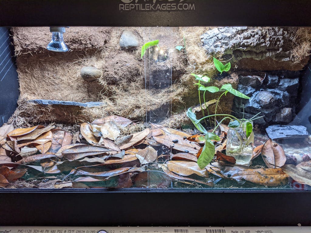 Premium PVC Reptile Enclosure 4'x2'x2' ft Kages