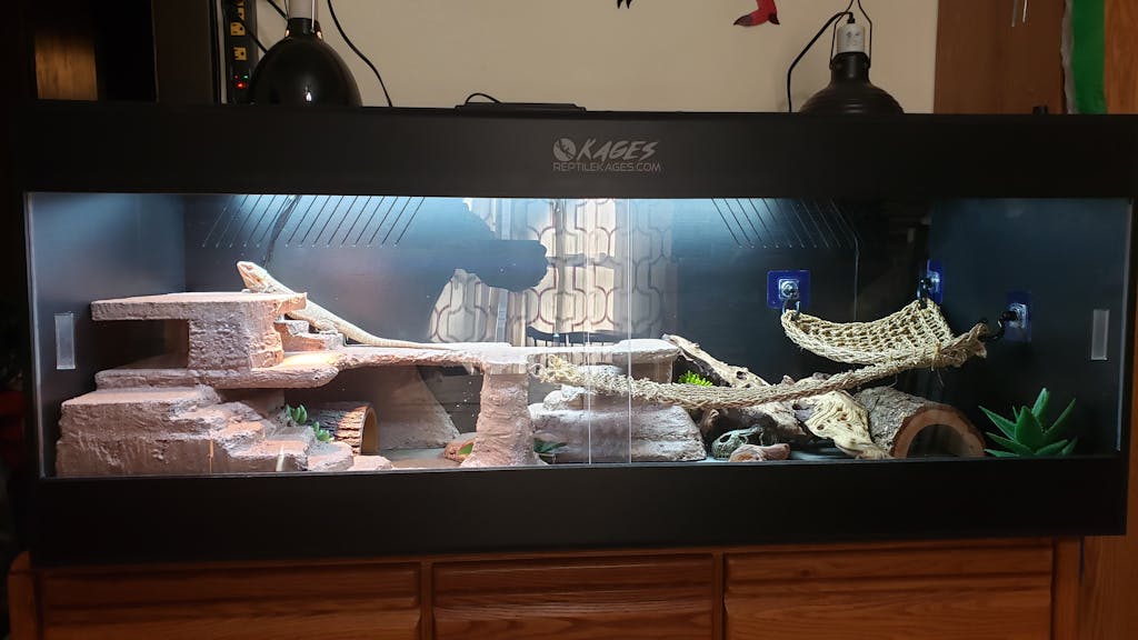 5'x2'x2' Custom PVC Reptile Enclosure Reptile Kages