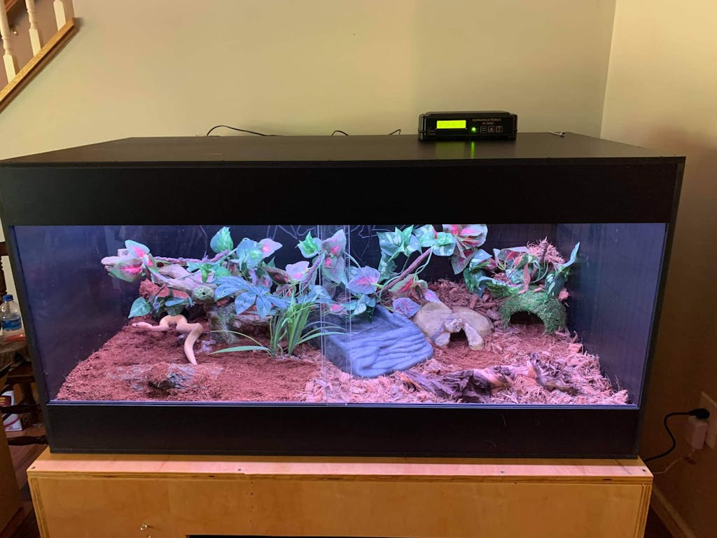 Kages Custom Reptile Enclosures Customer Reviews