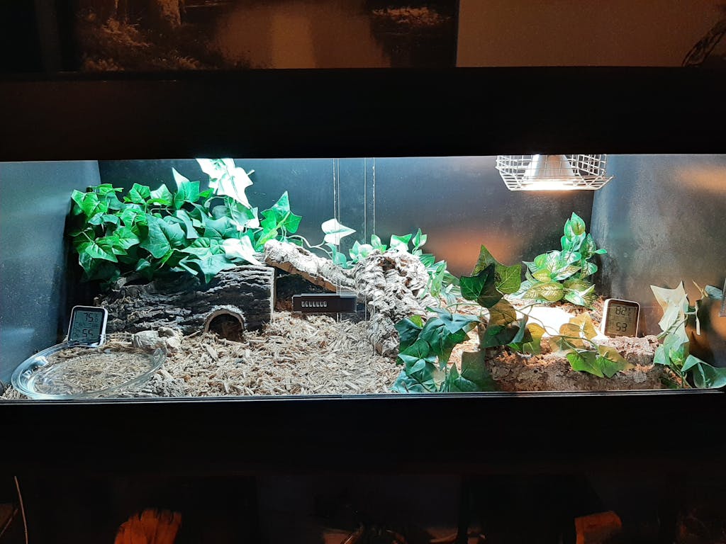 Premium PVC Reptile Enclosure | 4'x2'x2' ft | Kages