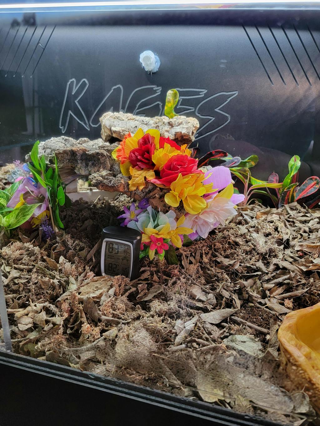 Premium PVC Reptile Enclosure 4'x2'x2' ft Kages