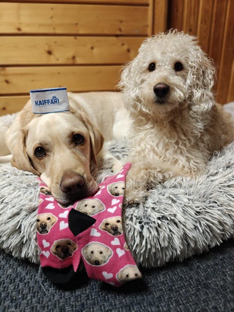 Kustom Ihana - sukat