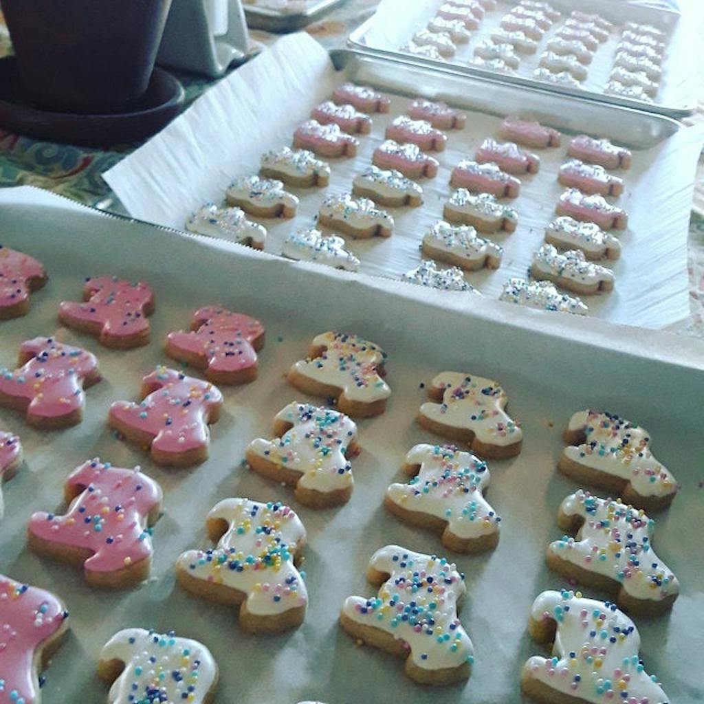 Frosted Animal Cracker Cookie Cutter Set of 5 KaleidaCuts