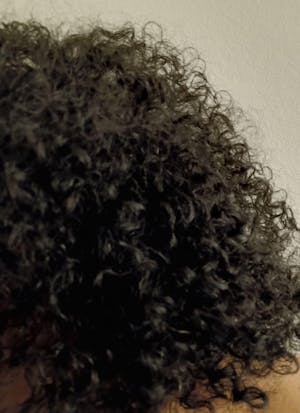 Moisture Max Repair Shampoo - 8 oz