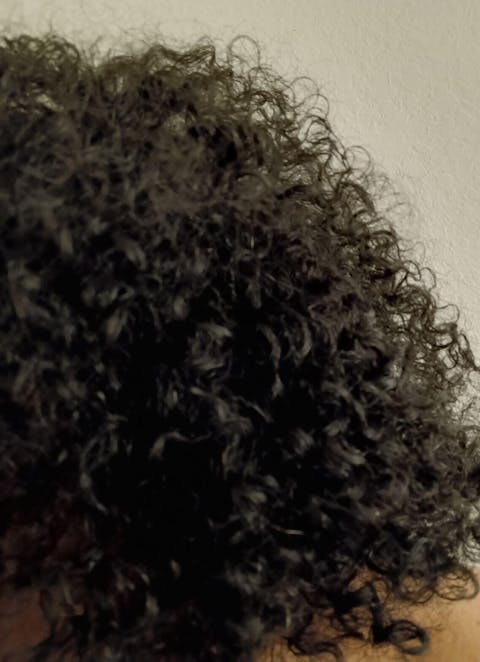 Moisture Max Repair Shampoo - 8 oz