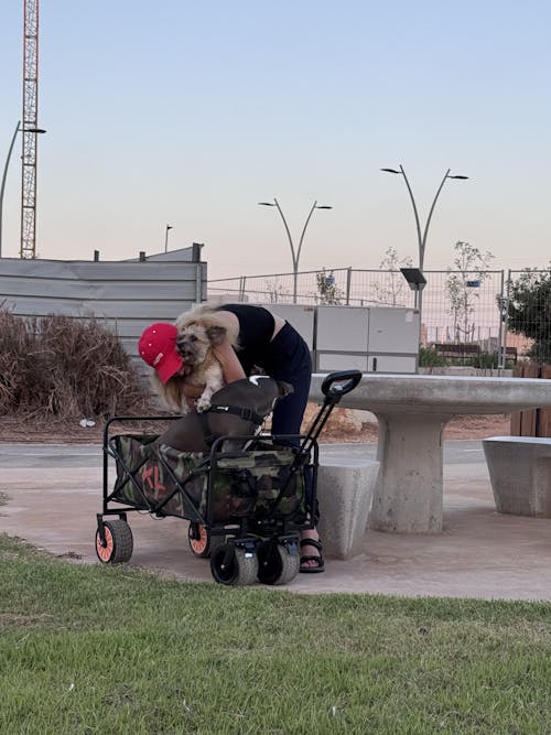 עגלת קמפינג חשמלית  נטענת