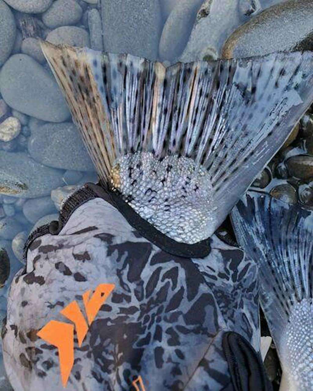 KastKing Mountain Mist Winter Fishing Gloves, Best Winter Warm Gloves