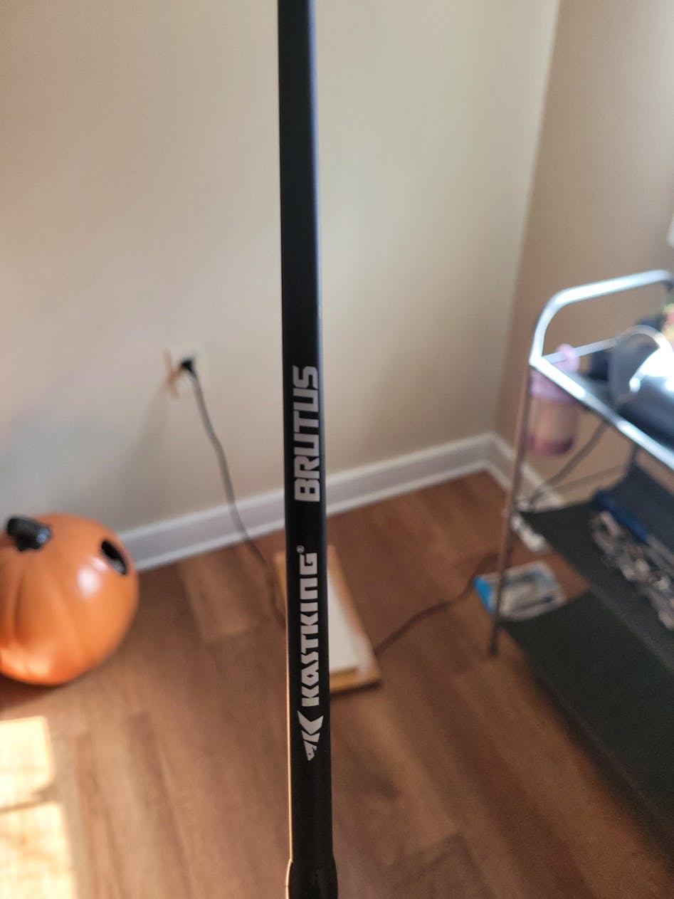 Kast King Brutus Series Rod - Why should I consider this rod