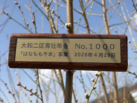 【ロゴ入れOK】表札 データ入稿 会社 プレート 看板 校正確認付 SS～5L シルバー ゴールド ブロンズ 木目調 ステンレス調 真鍮風 銅板風 オフィス ai イラストレーター ロゴマーク オリジナル 刻印無料 オーダー おしゃれ アクリル製 屋外対応 シール式 (配送5)