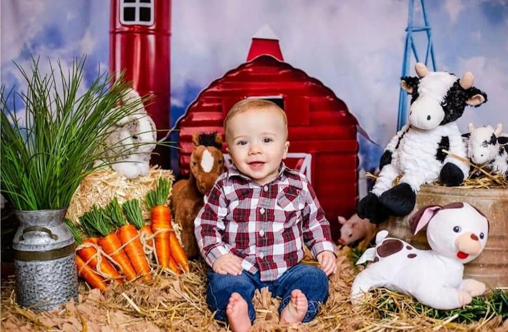 Kate Spring Barnyard Farm Backdrop Designed by Megan Leigh Photography