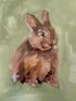 "Bunny I" Art Print