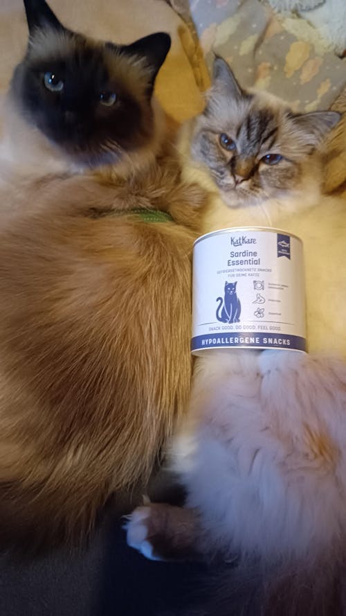 Hypoallergen Schnupperbox