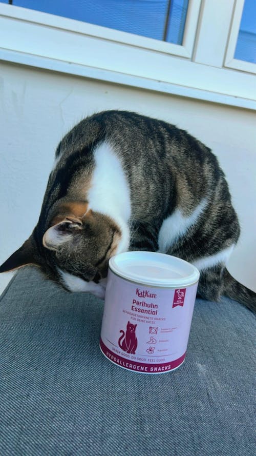 Hypoallergen Schnupperbox