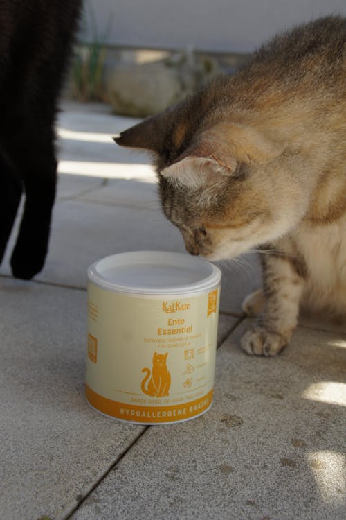 Hypoallergen Schnupperbox