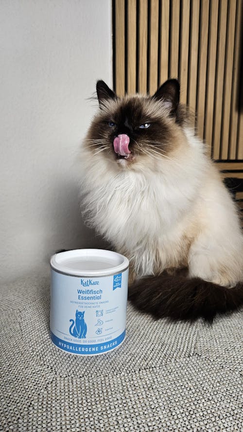 Hypoallergen Schnupperbox