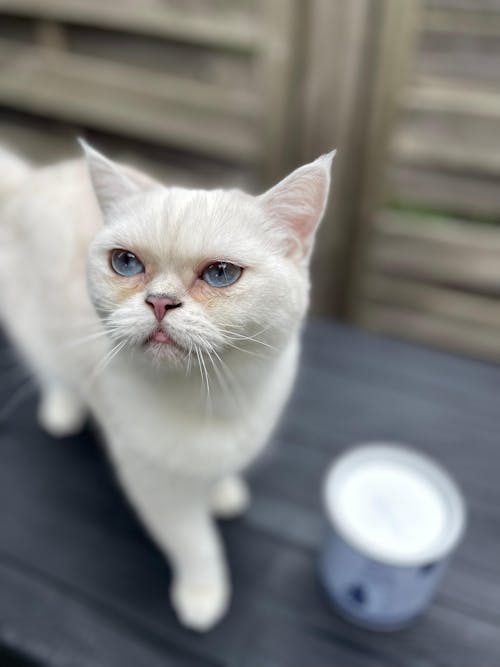 Hypoallergen Schnupperbox