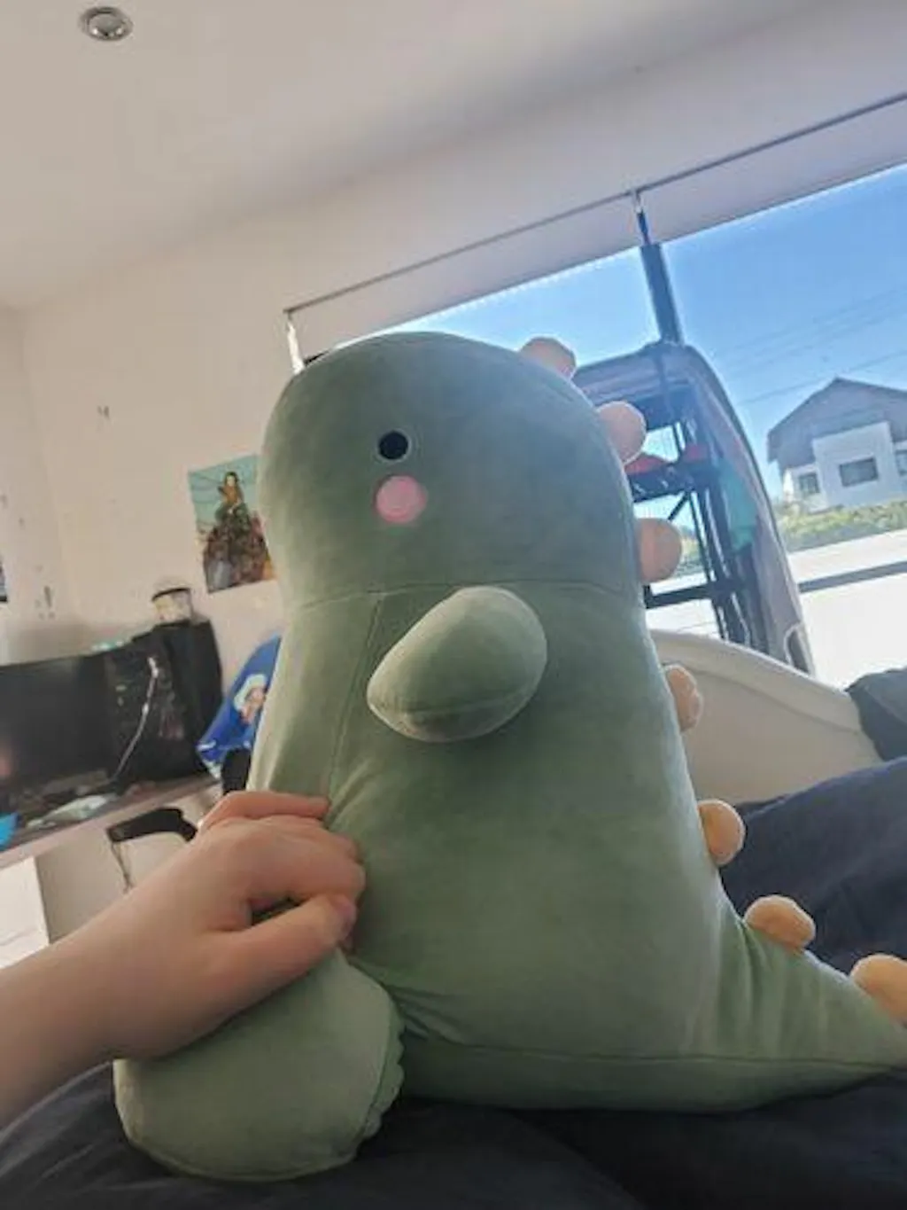 Customer review photo