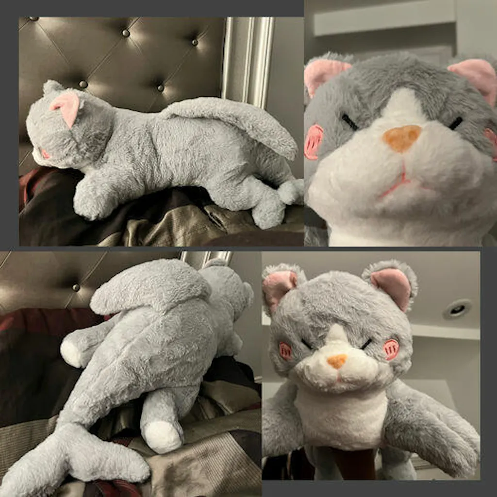 Customer review photo