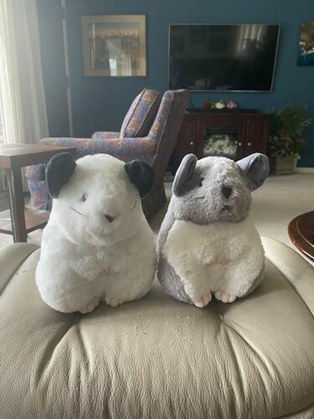 Customer review photo