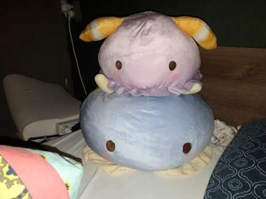 Customer review photo