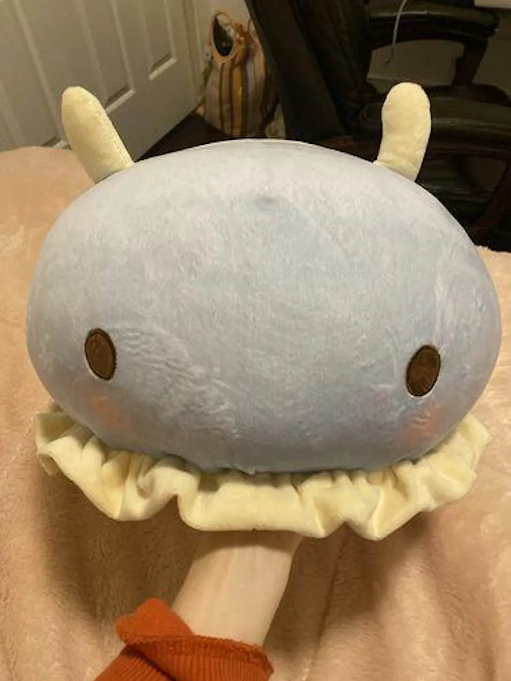 Customer review photo