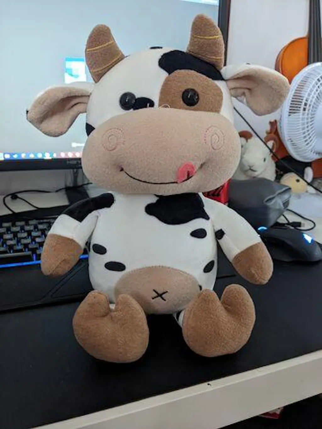 Customer review photo