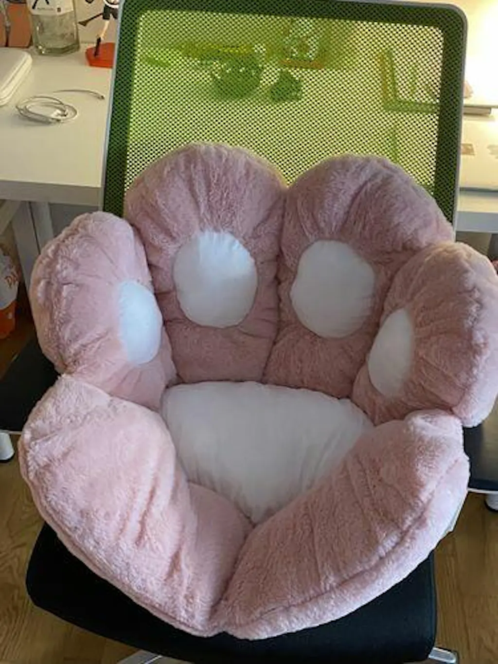 Customer review photo