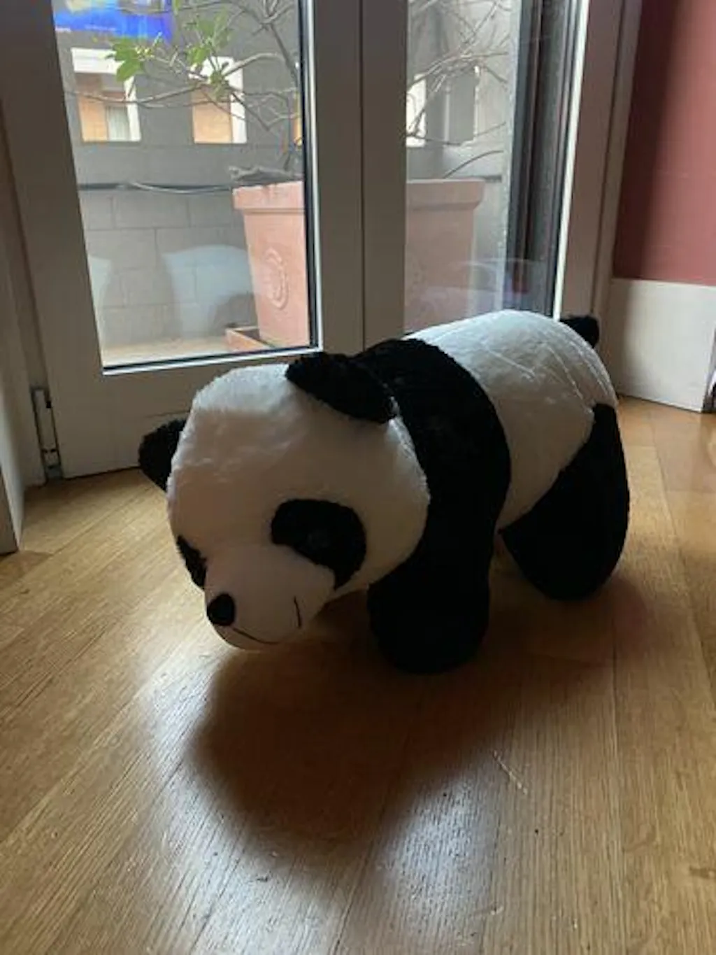 Customer review photo
