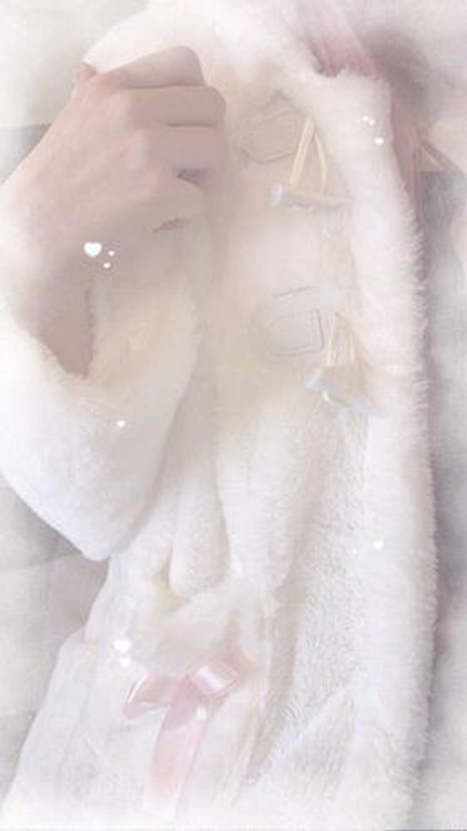 Lolita Fleece-lined Kitten Thickened Winter Women Jacket – Kawaiies