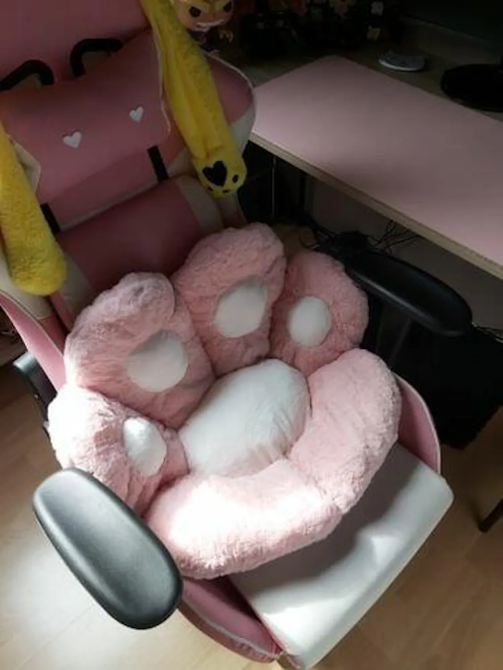 Customer review photo